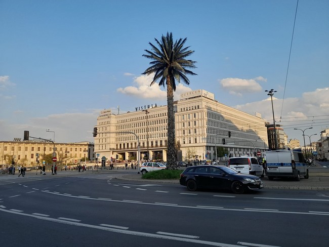 Palma na Rondzie Charles de Gaulle